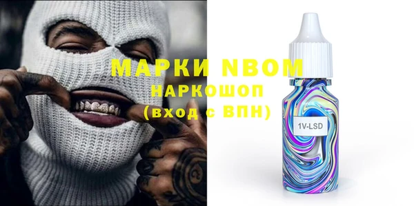 прущие грибы Костерёво