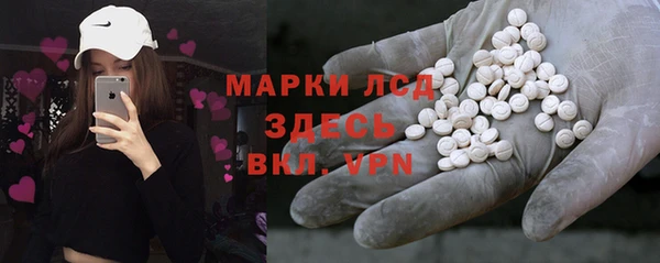 гашик Корсаков