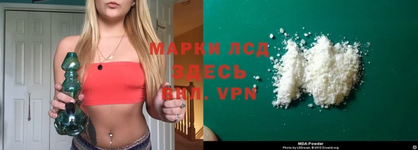 сатива Козловка