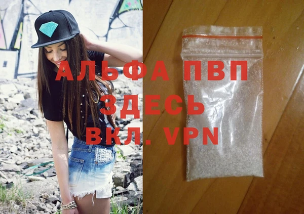 прущие грибы Костерёво