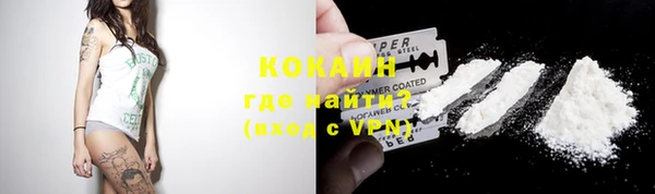 сатива Козловка