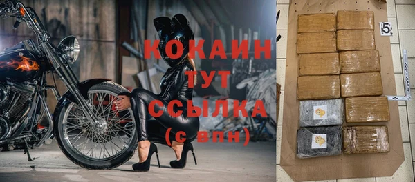 крисы Коряжма