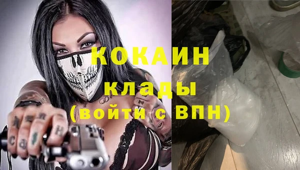 сатива Козловка