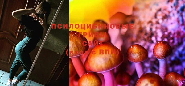 крисы Коряжма