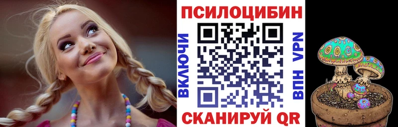 Псилоцибиновые грибы GOLDEN TEACHER Кяхта
