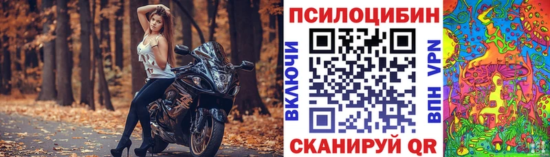 Псилоцибиновые грибы Psilocybine cubensis  наркотики  площадка состав  Кяхта  OMG вход 